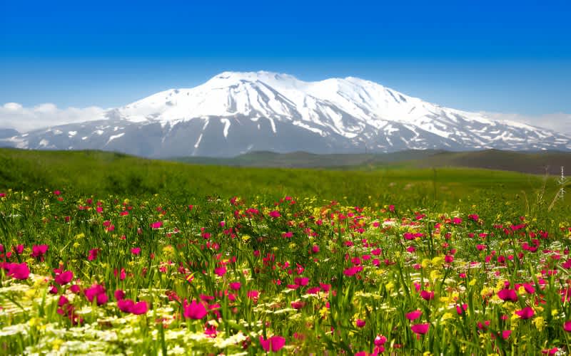 Ağrı Dağı Milli Parkı